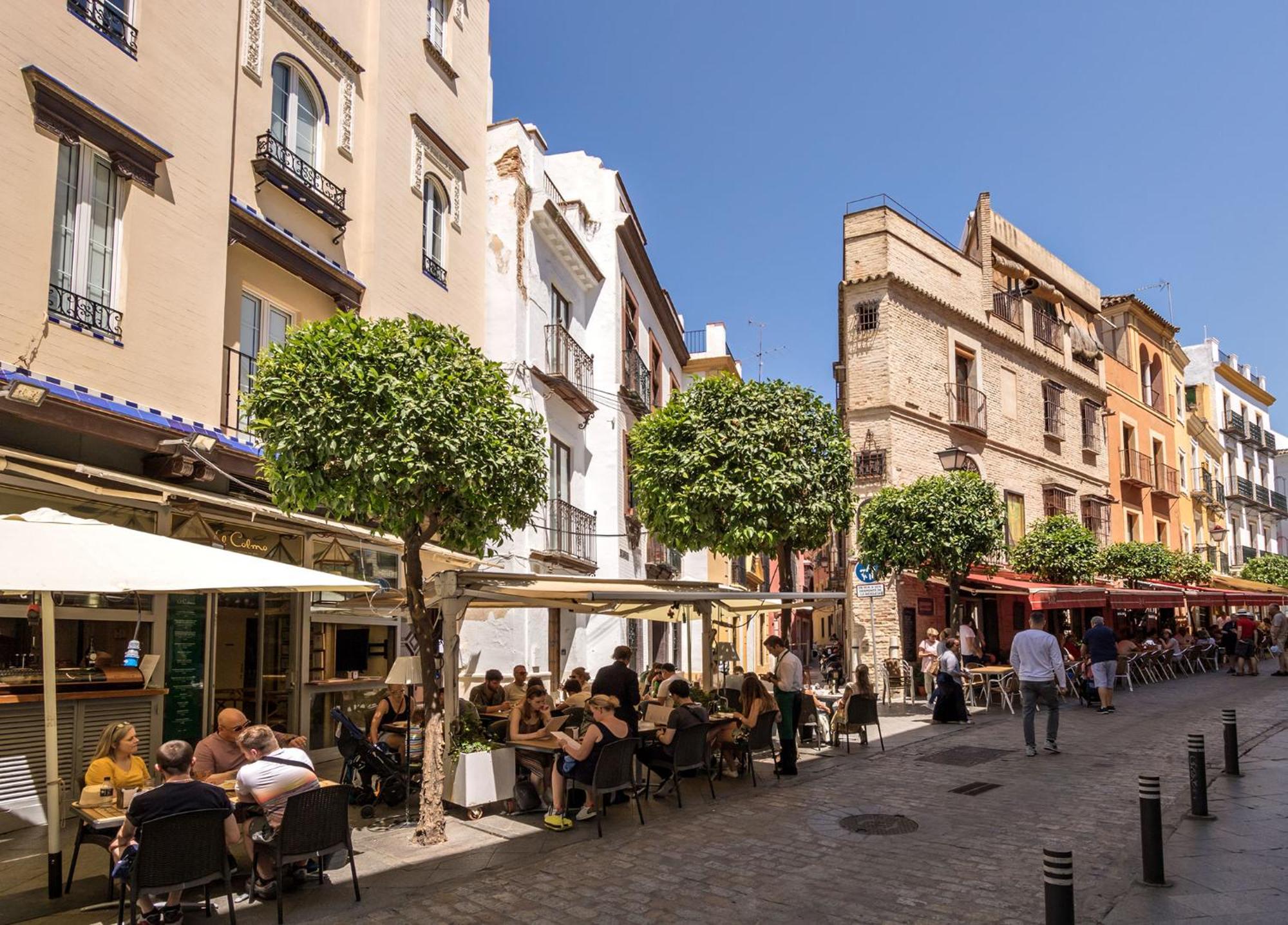 Botanic Duplex Terrace 5 Pax, Seville